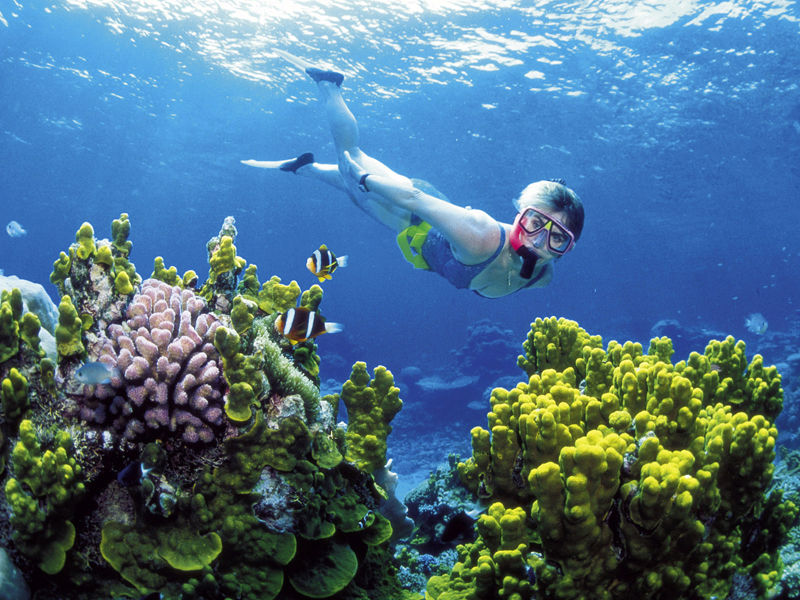 4.Great Barrier Reef second on must-see list